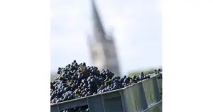 WineScan SO2